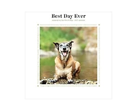 Tf Publishing Paper Goods 2027 Best Day Ever Dogs Mini Calendar