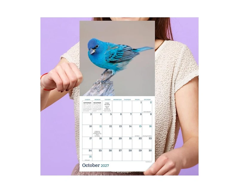 Tf Publishing Paper Goods 2027 Backyard Birds Mini Calendar