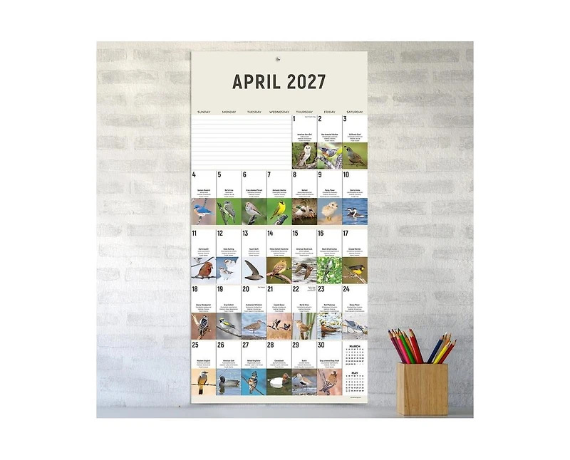 Tf Publishing Paper Goods 2027 Birds Backyard and Beyond Wall Calendar