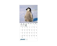 Tf Publishing Paper Goods 2027 Baby Animals Wall Calendar