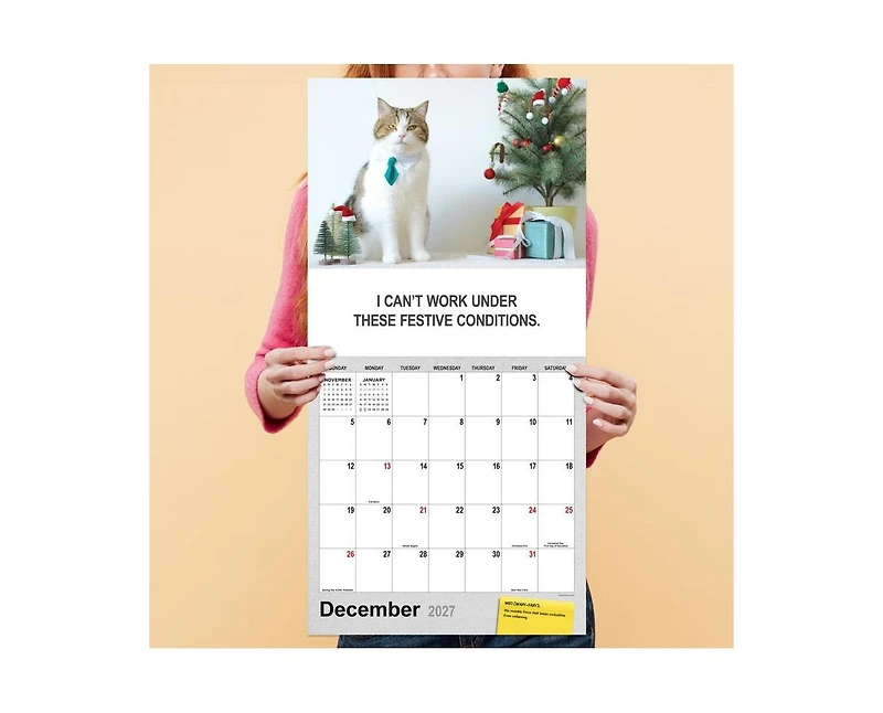 Tf Publishing Paper Goods 2027 Corporate Cats Wall Calendar