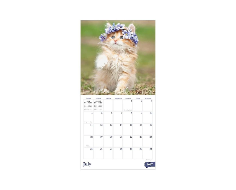 Tf Publishing Paper Goods 2027 Kittens Mini Calendar