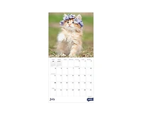 Tf Publishing Paper Goods 2027 Kittens Mini Calendar