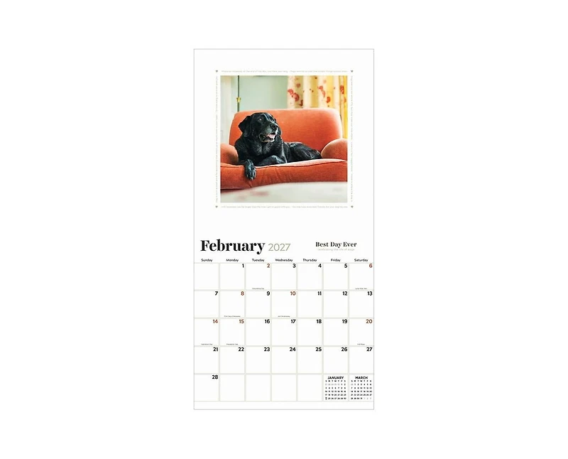 Tf Publishing Paper Goods 2027 Best Day Ever Celebrating The Life of Dogs Wall Calendar