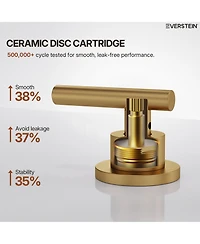 Everstein Single Hole Bathroom Faucet, Handle Sink Faucet with Drain Assembly