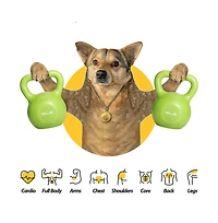 Zeny Kettlebell Set, Strength Training Kettlebells Weight Set for Women, Vinyl Coated Kettle Bell Home Gym Workout Lifting Equipment