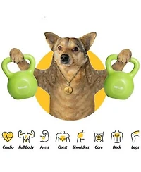Zeny Kettlebell Set Strength Training Kettlebells Weight Set For Women Vinyl Coated Kettle Bell For Home Gym Workout Weight Lifting Equipment