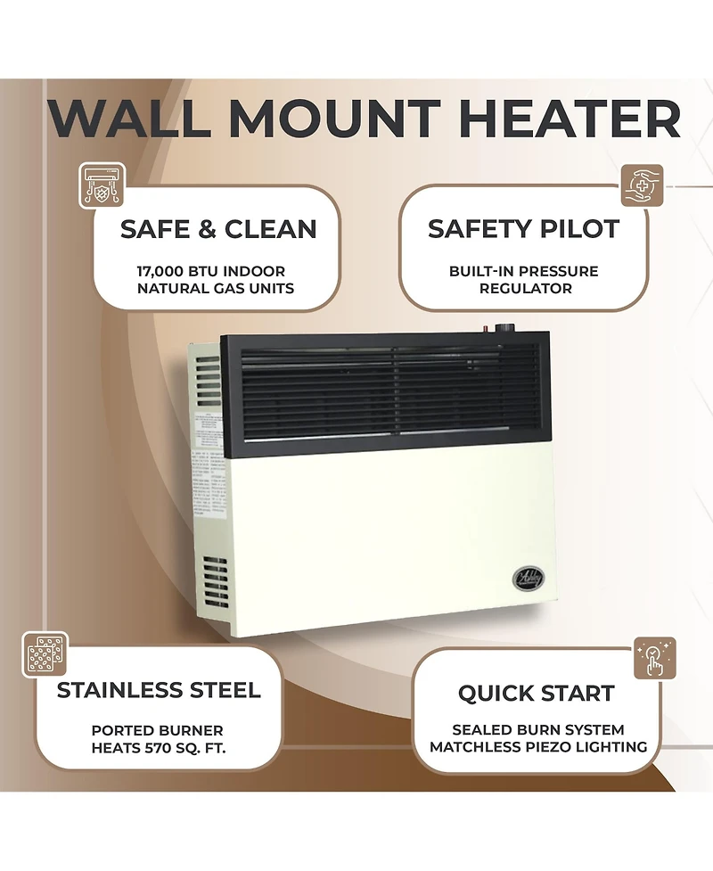 Ashley Hearth Products 17,000 Btu Direct Vent Liquid Buddy Propane Wall Mount Heater