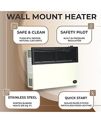 Ashley Hearth Products 17,000 Btu Direct Vent Liquid Buddy Propane Wall Mount Heater