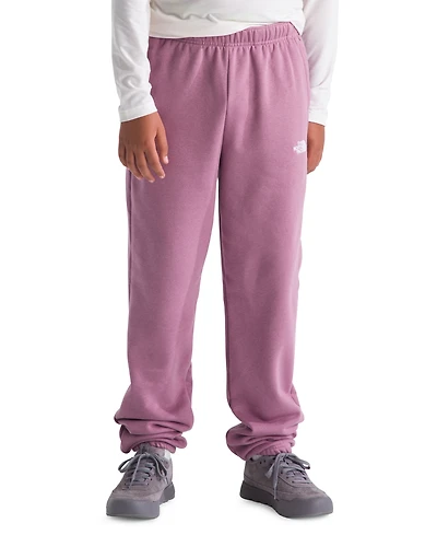 The North Face Boys' and Girls' 7-20 Evolution Simple Dome Pants