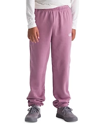 The North Face Boys' and Girls' 7-20 Evolution Simple Dome Pants