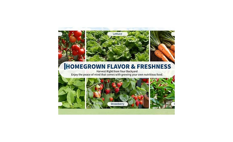 homfan 72"L x 34"W x 12"D Galvanized Steel Raised Garden Bed with Canopy Cover, Outdoor Planter for Vegetables Flowers Patio Backyard