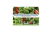 homfan 72"L x 34"W x 12"D Galvanized Steel Raised Garden Bed with Canopy Cover, Outdoor Planter for Vegetables Flowers Patio Backyard