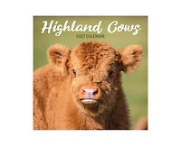 Tf Publishing Paper Goods 2027 Highland Cows Wall Calendar