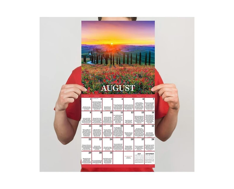 Tf Publishing Paper Goods 2027 Daily Verse Wall Calendar