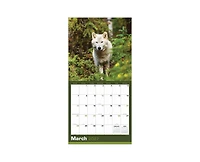 Tf Publishing Paper Goods 2027 Wolves Wall Calendar