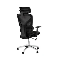 homfan Ergonomic High-Back Mesh Office Chair with 4D Armrests, Lumbar Support, Headrest, Seat Depth Adjustment, Tilt Lock