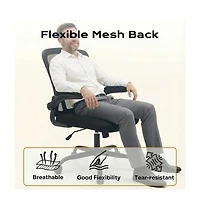 homfan Ergonomic Wide-Seat Office Chair with Flip Armrests, Lumbar Support, 350 lb