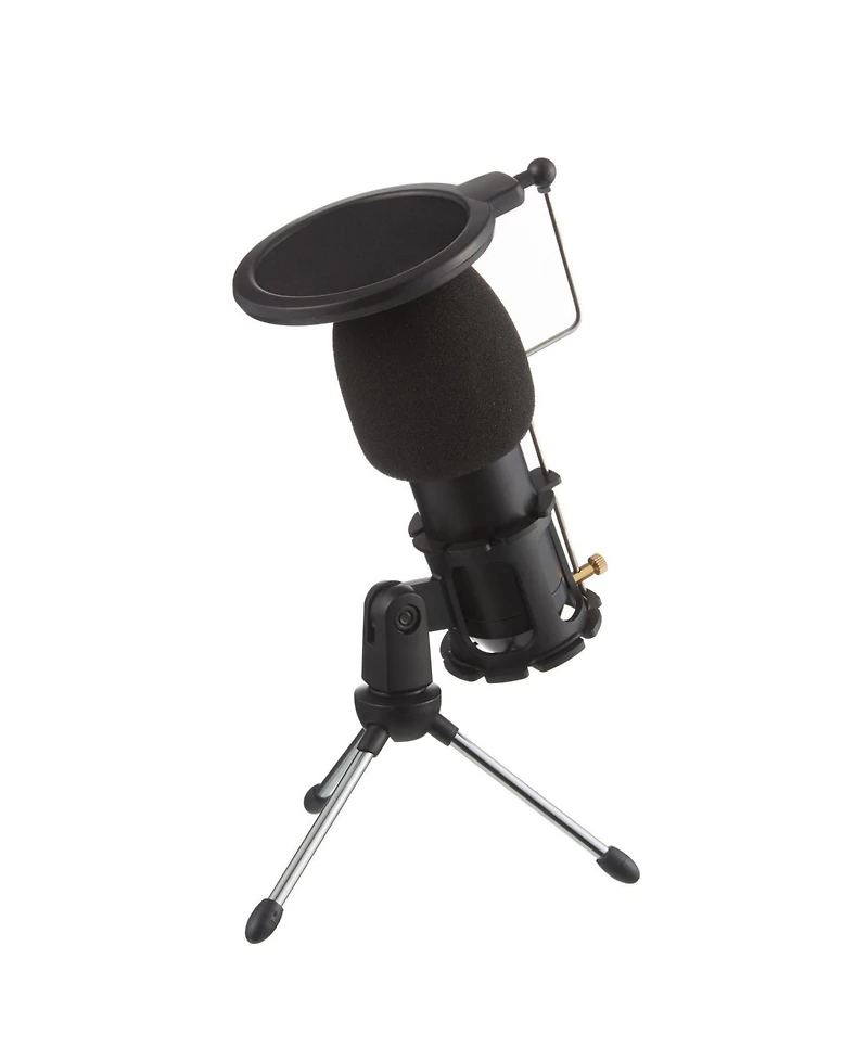 Audio-Technica AT2035 Cardioid Condenser Microphone, Xlr, Studio Shock Mount