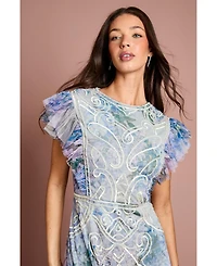 Coast Women's Embroidered Ruffle Floral Maxi Dress