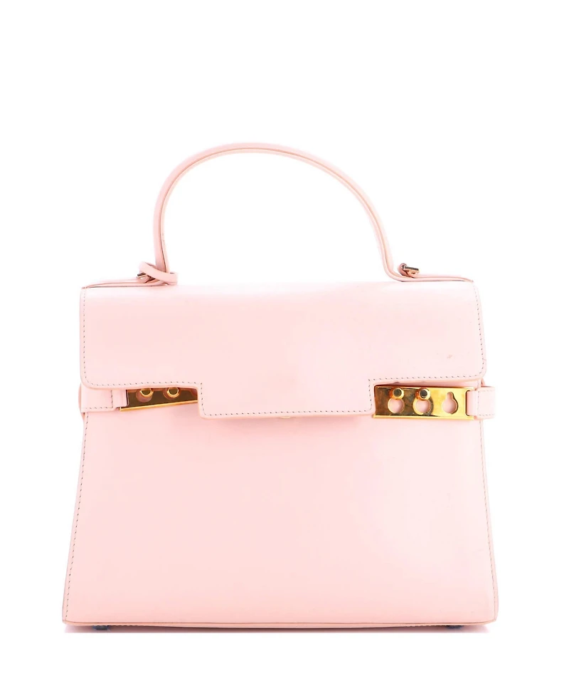 Pre-Owned Delvaux Mm Tempete Top Handle Bag Leather