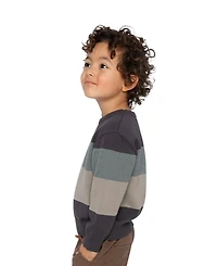 Deux par Toddler Boys (2T - 5T) block Knit Sweater