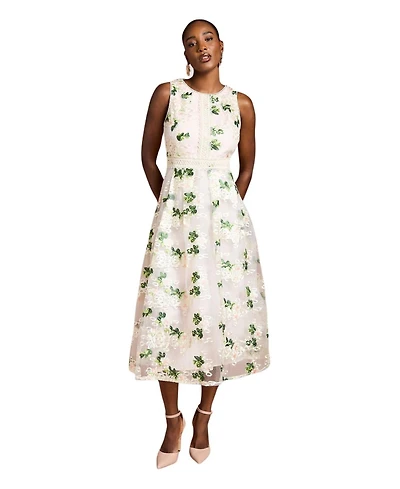 Coast Women's Embroidered Mesh Lace Skirted Midi Dress