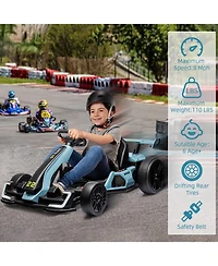 homfan 24V Go Kart, Dual 150W/300W Motors, Adjustable Seat, Drift and Sport Modes, Big Battery, Eva Tires, Led Lights, Up to 8mph
