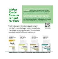 Kyolic Aged Garlic Extract Formula 300, Cardiovascular Health