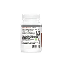 Kyolic Immune Mushrooms Supplement | Chaga, Cordyceps, Turkey Tail and Aged Garlic Extract for Wellness and Energy Support | 60 Capsules