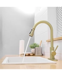 Phying Nickel Gold Kitchen Sink Faucet with Deck Plate Kitchen Faucets with Pull out Sprayer Single Handle Kitchen Faucet