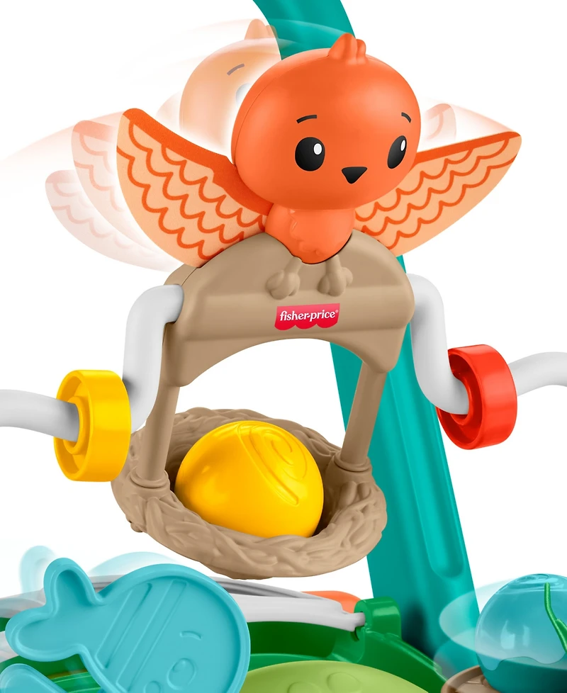 Fisher Price Moves with You Turtle Walker with 5 Balls Push Toy