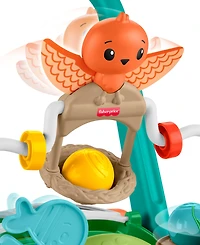 Fisher Price Moves with You Turtle Walker with 5 Balls Push Toy