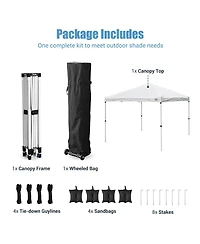 WinSpin Modular Prize Wheel and 10x10ft Pop Up Canopy w/ 12PCS Replacement Panels
