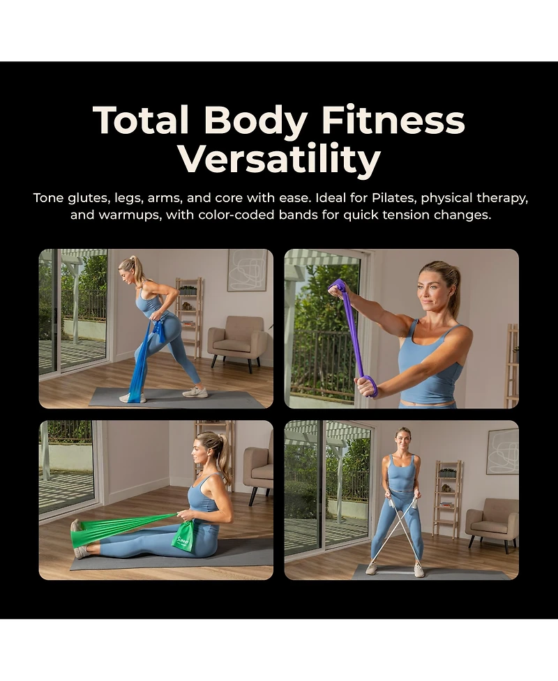 Sunny Health & Fitness 5-Level Resistance Band Set, 3-30 lbs