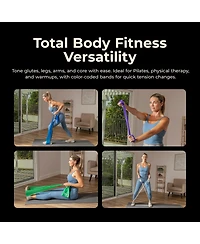 Sunny Health & Fitness 5-Level Resistance Band Set, 3-30 lbs