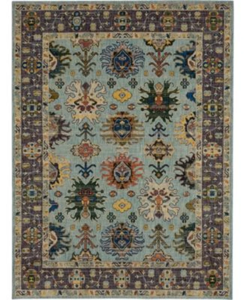 Closeout Karastan Pandora Obsession Area Rug