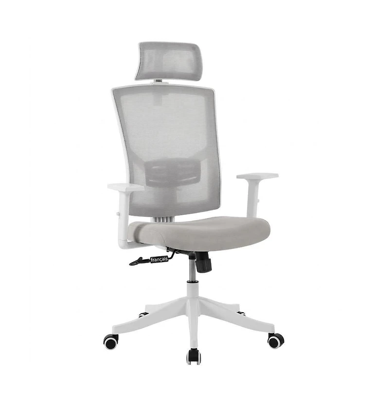 homfan Ergonomic Mesh Office Chair with Lumbar Support, Headrest, Flip-Up Arms, 350lb Capacity