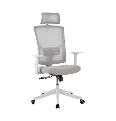 homfan Ergonomic Mesh Office Chair with Lumbar Support, Headrest, Flip-Up Arms, 350lb Capacity