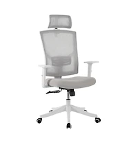 homfan Ergonomic Mesh Office Chair with Lumbar Support, Headrest, Flip-Up Arms, 350lb Capacity