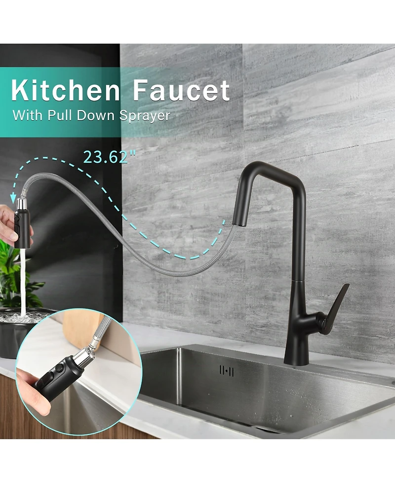 Busdays Matte Professional Kitchen Faucet with 3 Function 360 Degree Sprayer One Touch Switch FastConnect System