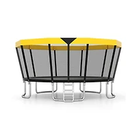 Ruie 16 ft Astm Compliant Recreational Trampoline with Safety Enclosure and Ladder