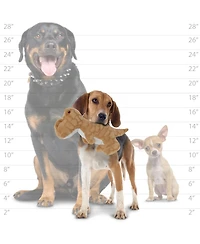 Mighty Dinosaur TRex, Durable Plush Squeaky Dog Toy