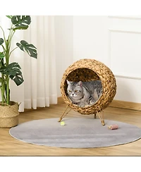 Ruie Elevated Woven Cat Bed Enclosed Kitten House Condo with Cushion