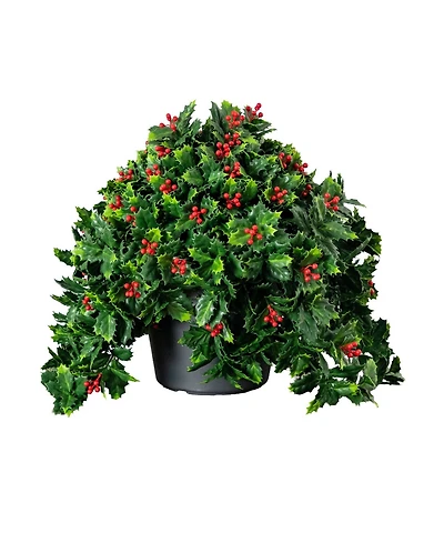 Nearly Natural 16" Ultraviolet Resistant Artificial Holly Berry Christmas Plant Indoor And Outdoor