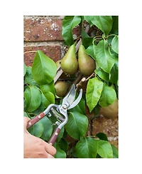 Burgon & Ball Wood Handle Bypass Pruner and Gift Box 3/4 inch Cut Capacity