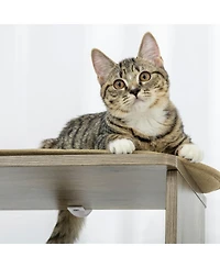 Ruie 65 Inch Corner Cat Tree Tall Multilevel Tower with Sisal Scratching Posts