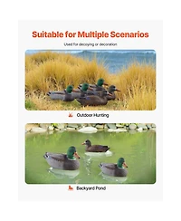 Sevorley Floating Mallard Duck Decoys, Realistic 6-Pack for Hunting, Ponds and Lakes