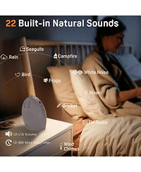 Jall Enhanced Noise Machine and Sunrise Alarm Clock with 25 Soothing Sounds 17 Night Lights Bluetooth Dual Alarms Unlimited Snooze Light