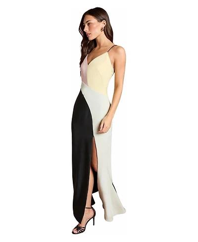 Coast Women's Colorblock Maxi V-Neck Dress